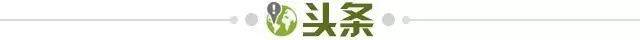 世界杯官网下载-【早报】白岩松vs陈戌源：《白问》真的白问了吗？